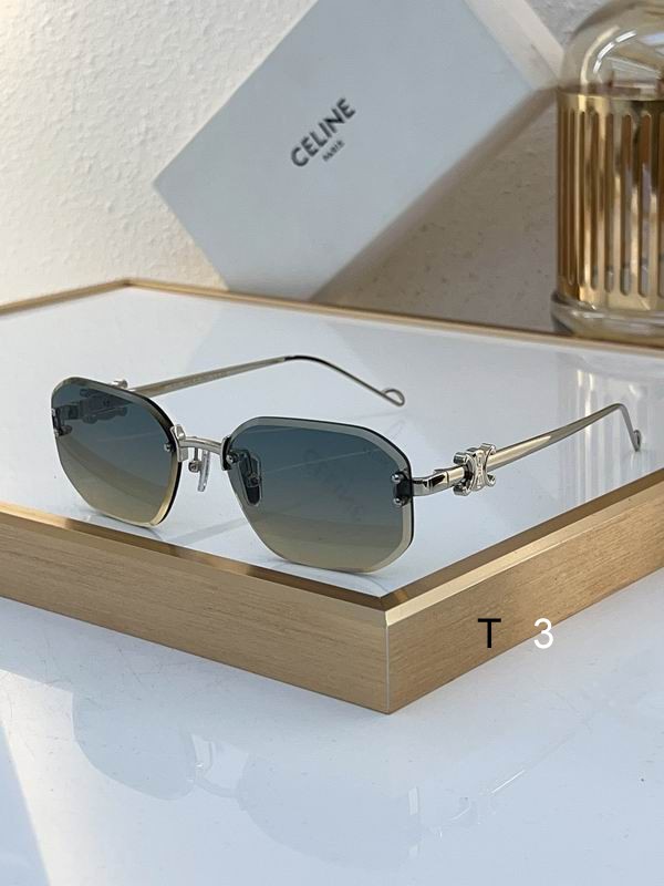 Celine Sunglasses ID:20240804-35